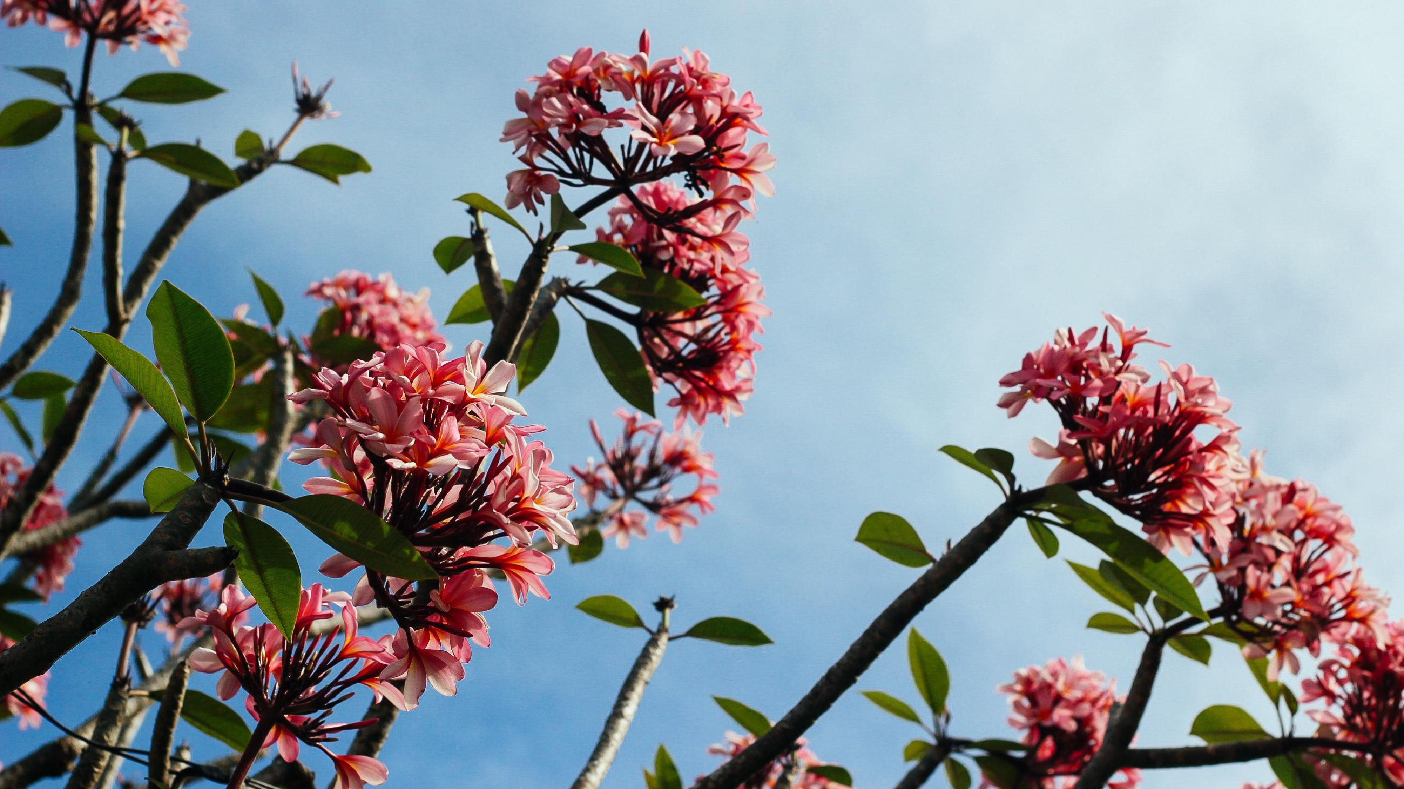 Fourth Post (Excluded From Search)